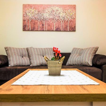 Studio Apartman Tvrtko فاغاشدين المظهر الخارجي الصورة