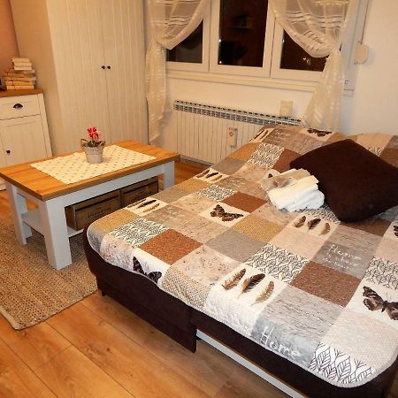 Studio Apartman Tvrtko فاغاشدين المظهر الخارجي الصورة