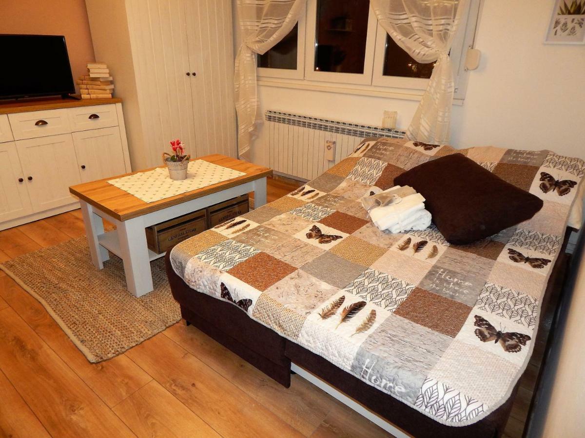 Studio Apartman Tvrtko فاغاشدين المظهر الخارجي الصورة