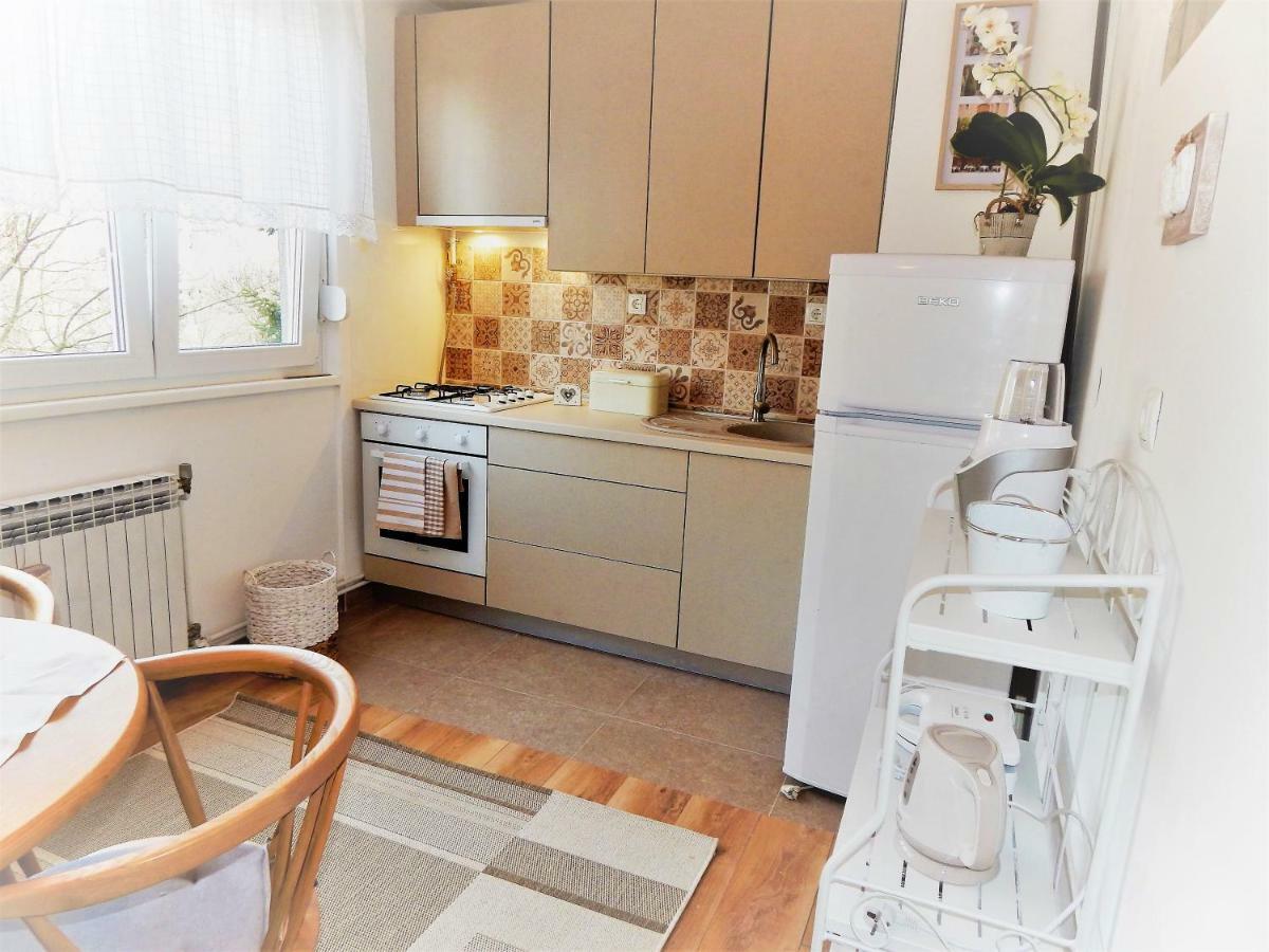 Studio Apartman Tvrtko فاغاشدين المظهر الخارجي الصورة