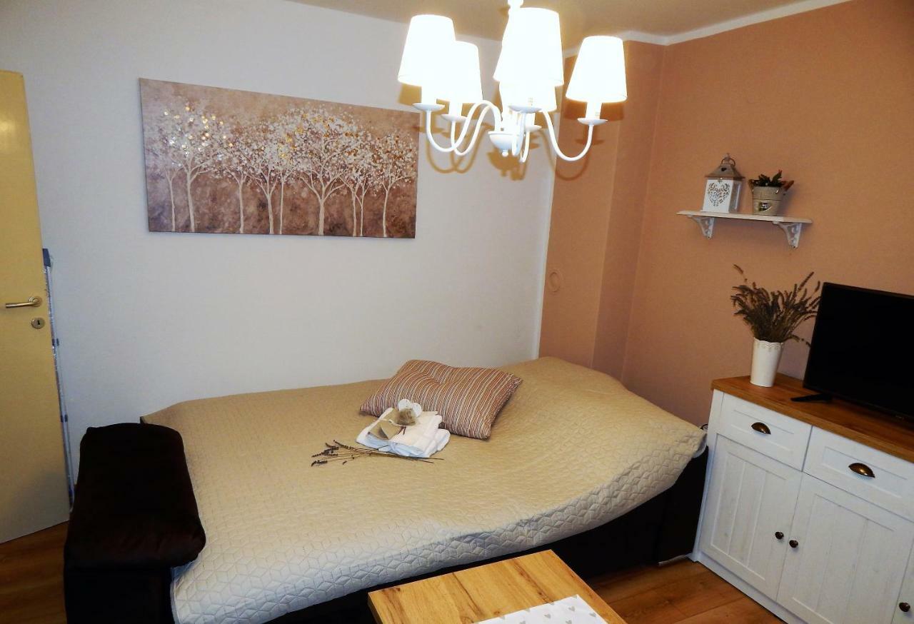 Studio Apartman Tvrtko فاغاشدين المظهر الخارجي الصورة