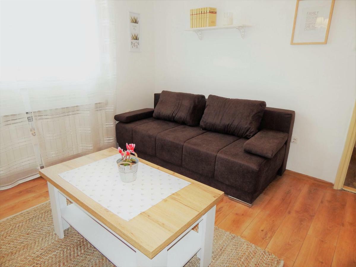 Studio Apartman Tvrtko فاغاشدين المظهر الخارجي الصورة